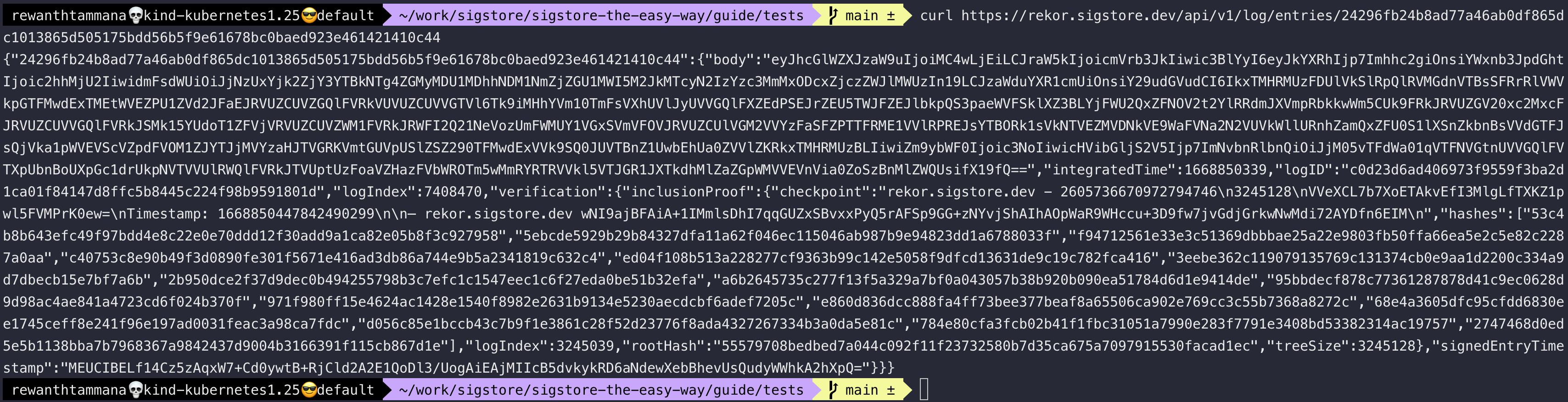 rekor-query-curl