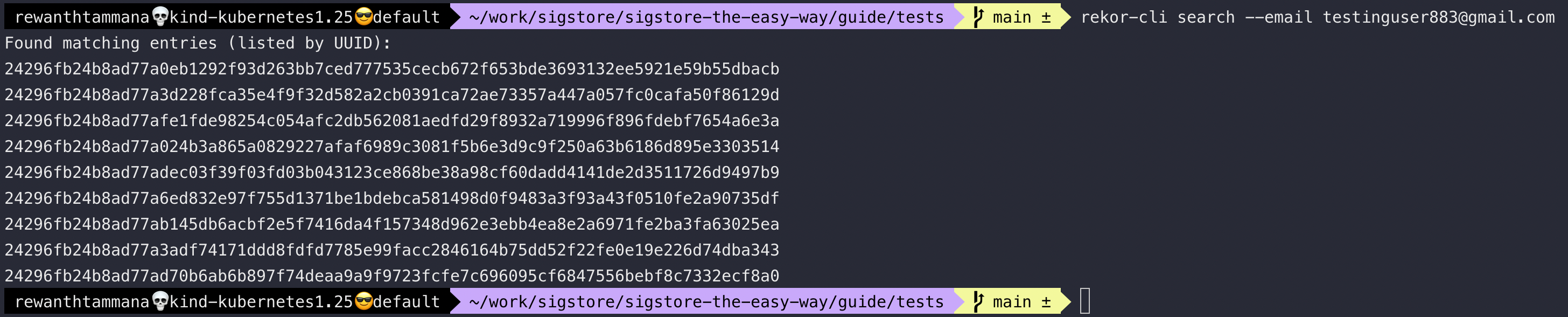 rekor-query-email