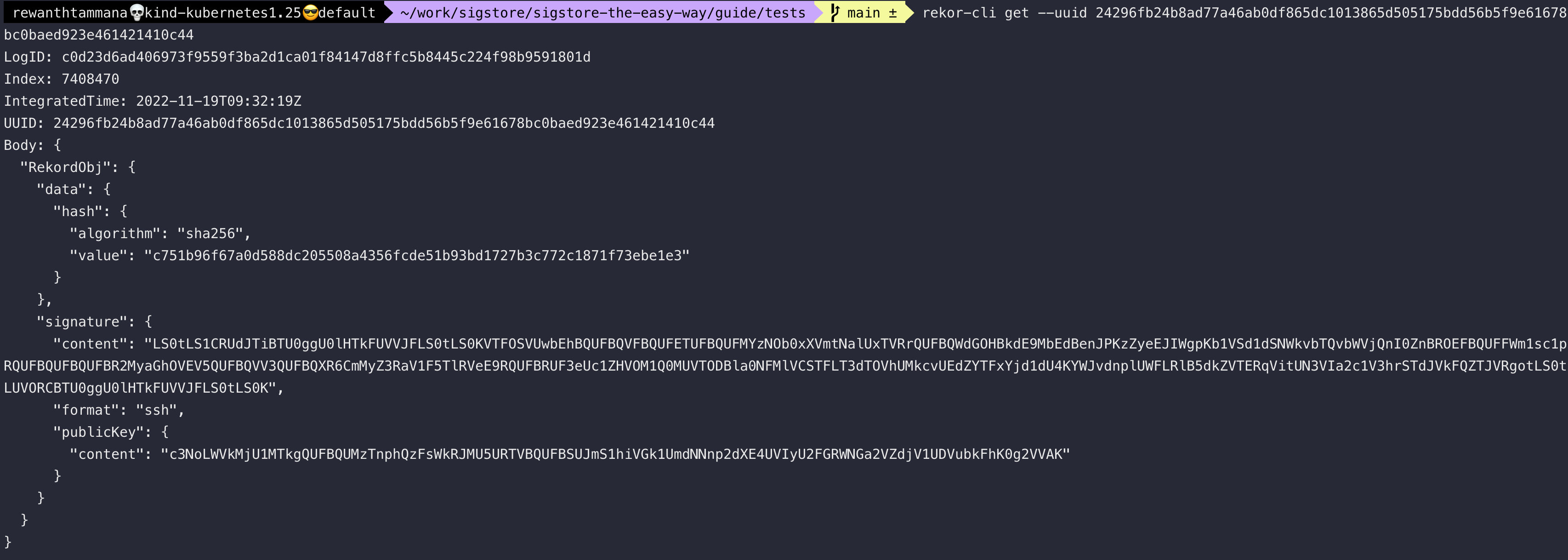rekor-query-uuid